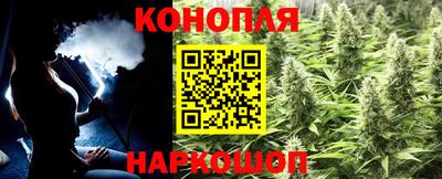 индика Тула