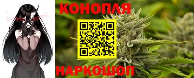 индика Тула