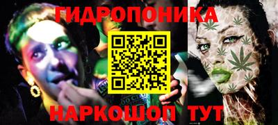 индика Тула