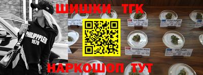 индика Тула